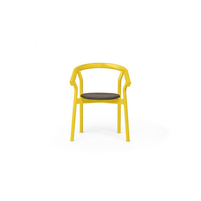 Ash Chair